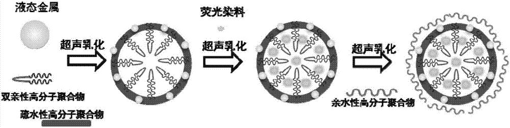 Water-soluble fluorescent liquid metal material and preparation method thereof