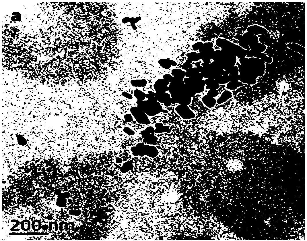 Color toner prepared by emulsion polymerization-coagulation one-step method and method thereof