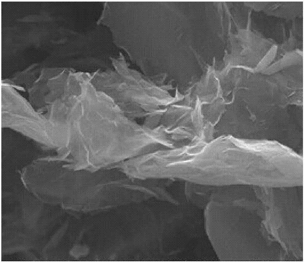 Preparation method of nitrogen-doped graphene/polytetrafluoroethylene (PTFE ) composite material