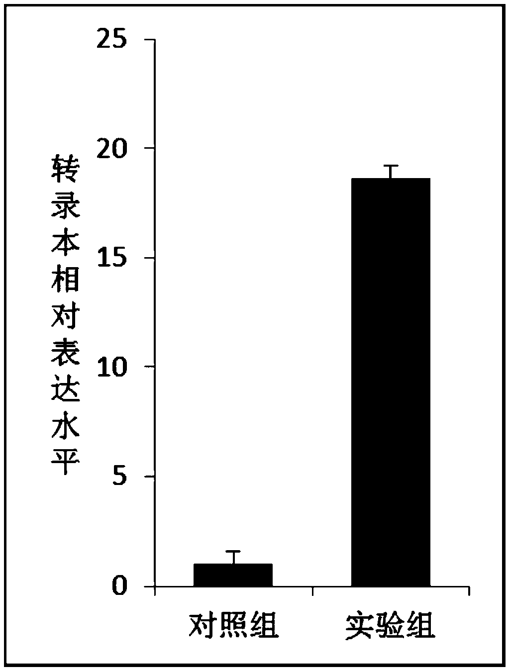 Barbus tetrazona heat shock protein PtHsp70 and application thereof