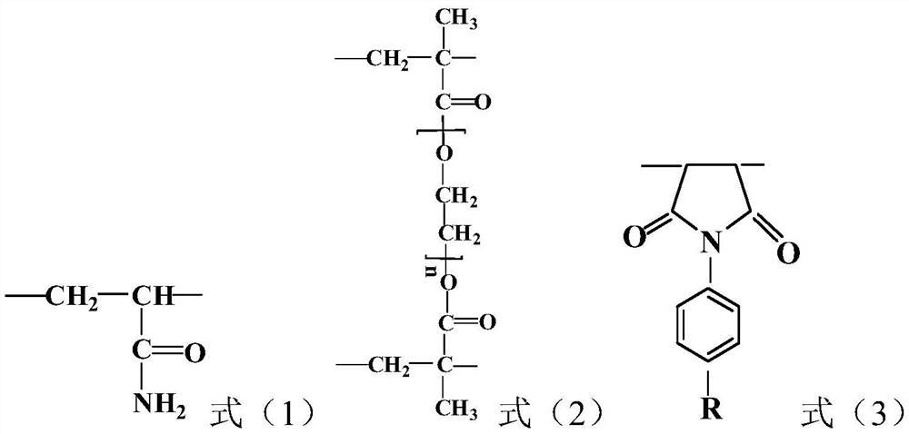 Active functional polymer and preparation method and application thereof