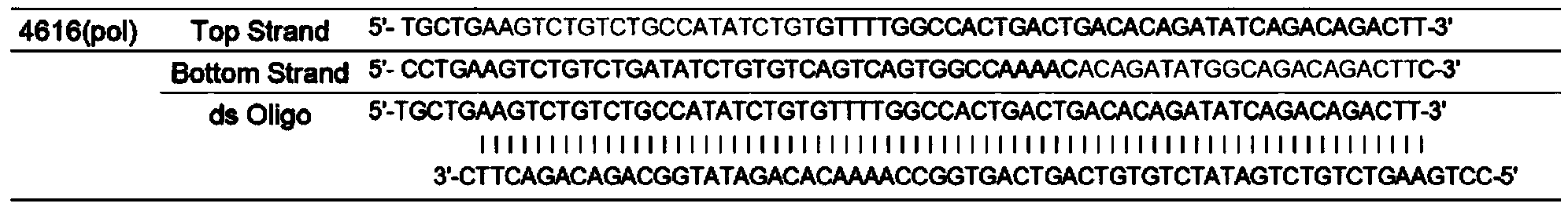 ALV-J (avian leukosis virus-J subgroup) pol geneconserved sequence based siRNA (small interfering ribonucleic acid) recombinant interference vector as well as preparation method and application thereof