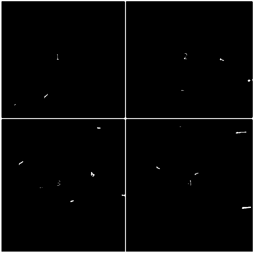 Adaptive fast detection method of cfar in sar image based on multi-thread