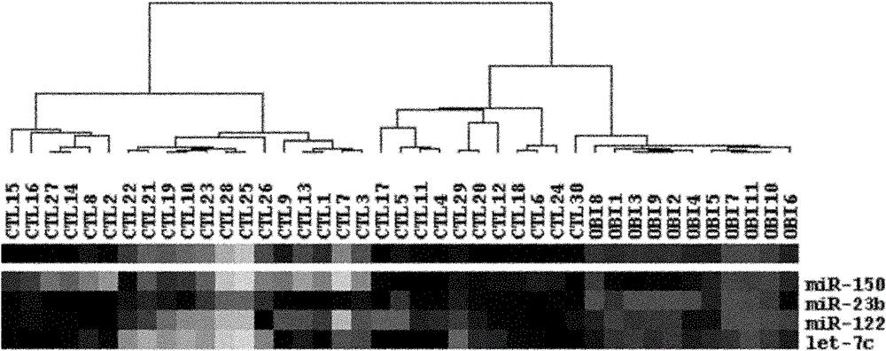 Serum miRNA composition for detecting occult hepatitis B and applications thereof