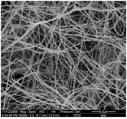 Preparation method of biomass cellulose nanofibers with high length-diameter ratio