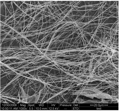 Preparation method of biomass cellulose nanofibers with high length-diameter ratio