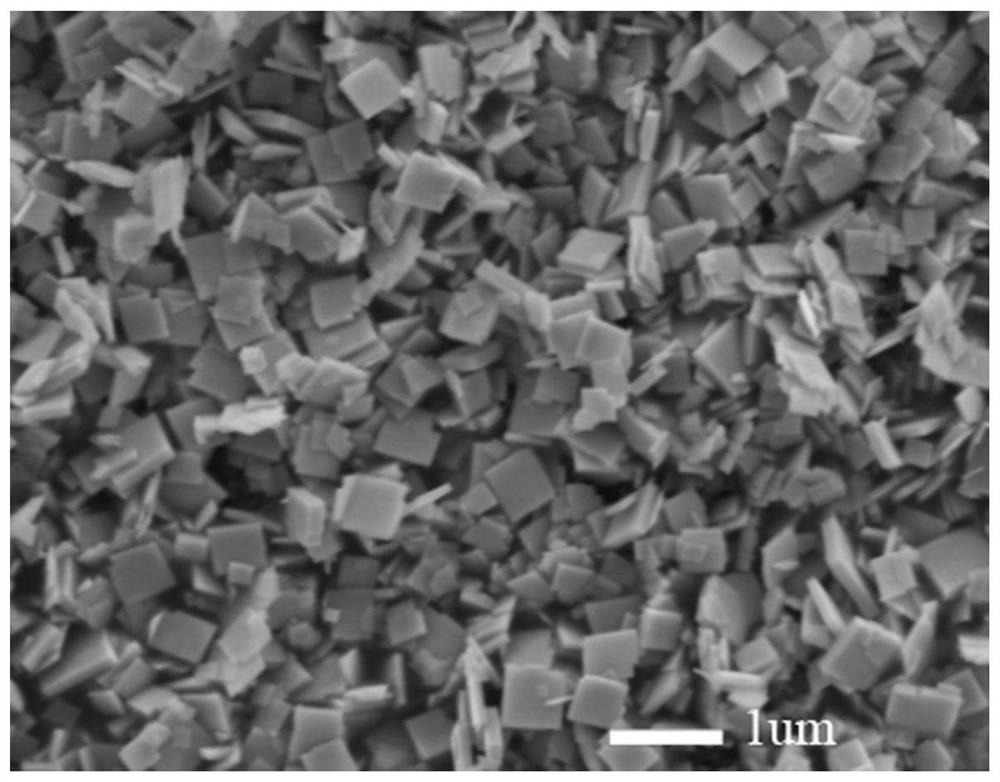 Preparation of bifeo based on hydrothermal method  <sub>3</sub> Nanosheet method and bifeo  <sub>3</sub> Nanosheets