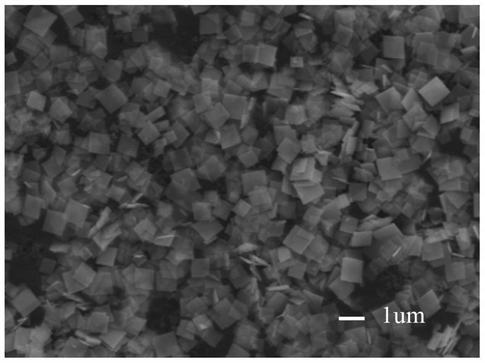 Preparation of bifeo based on hydrothermal method  <sub>3</sub> Nanosheet method and bifeo  <sub>3</sub> Nanosheets