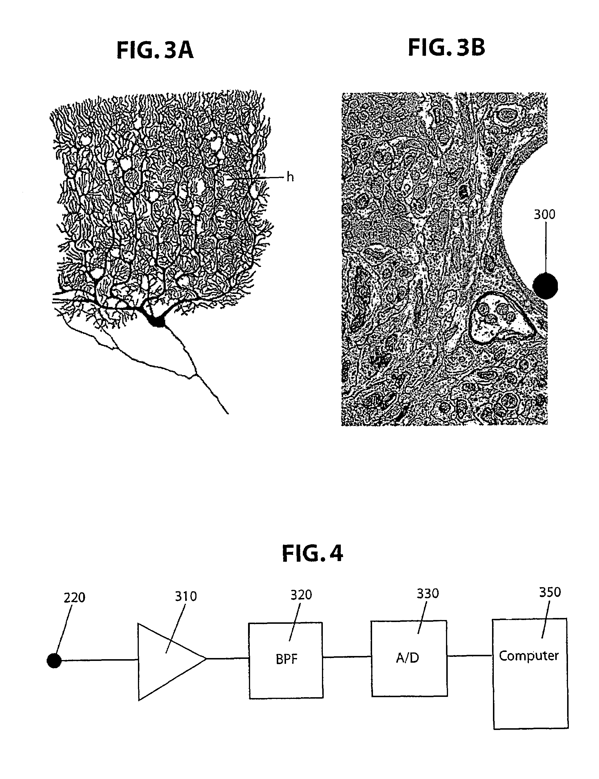 Brain-machine interface systems and methods