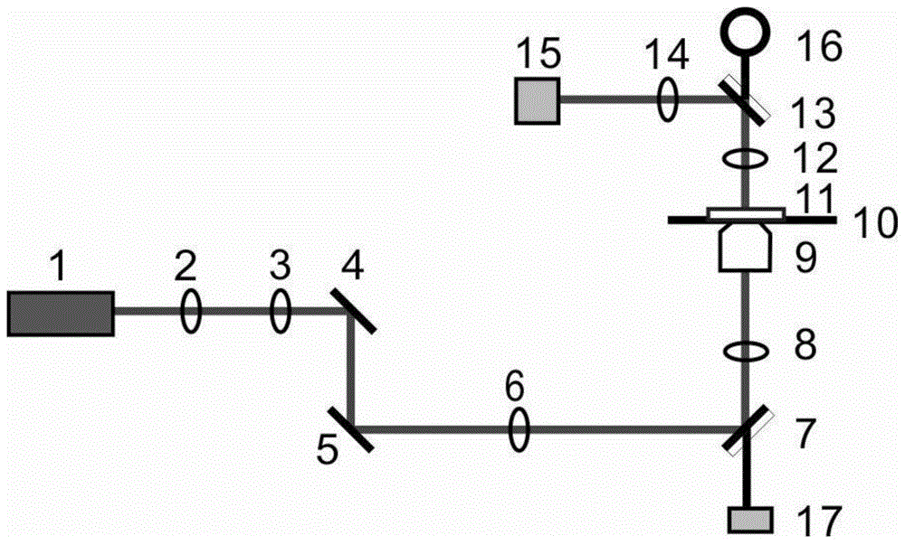 A Particle Size Detection Method Based on Optical Trapping