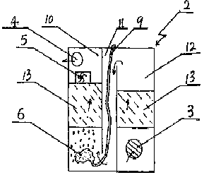 Algae removal and sterilization integrated fish tank