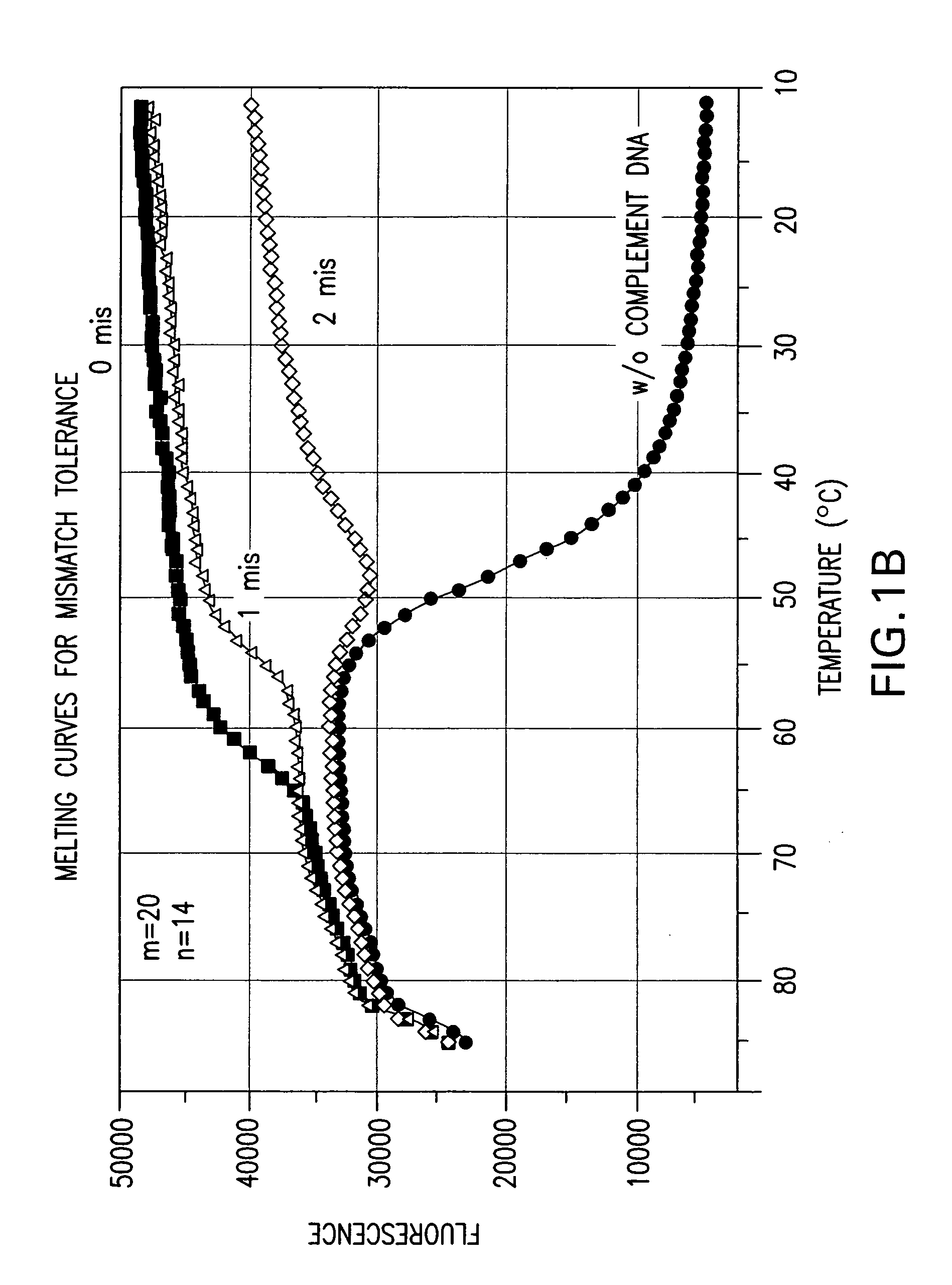 Double stranded linear nucleic acid probe and uses thereof