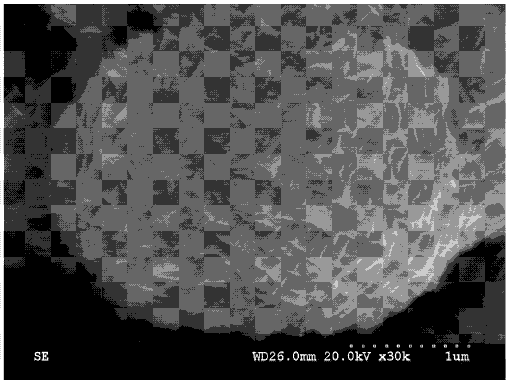 Preparation method for cadmium hydroxide nano-array capable of adsorbing and extracting DNA