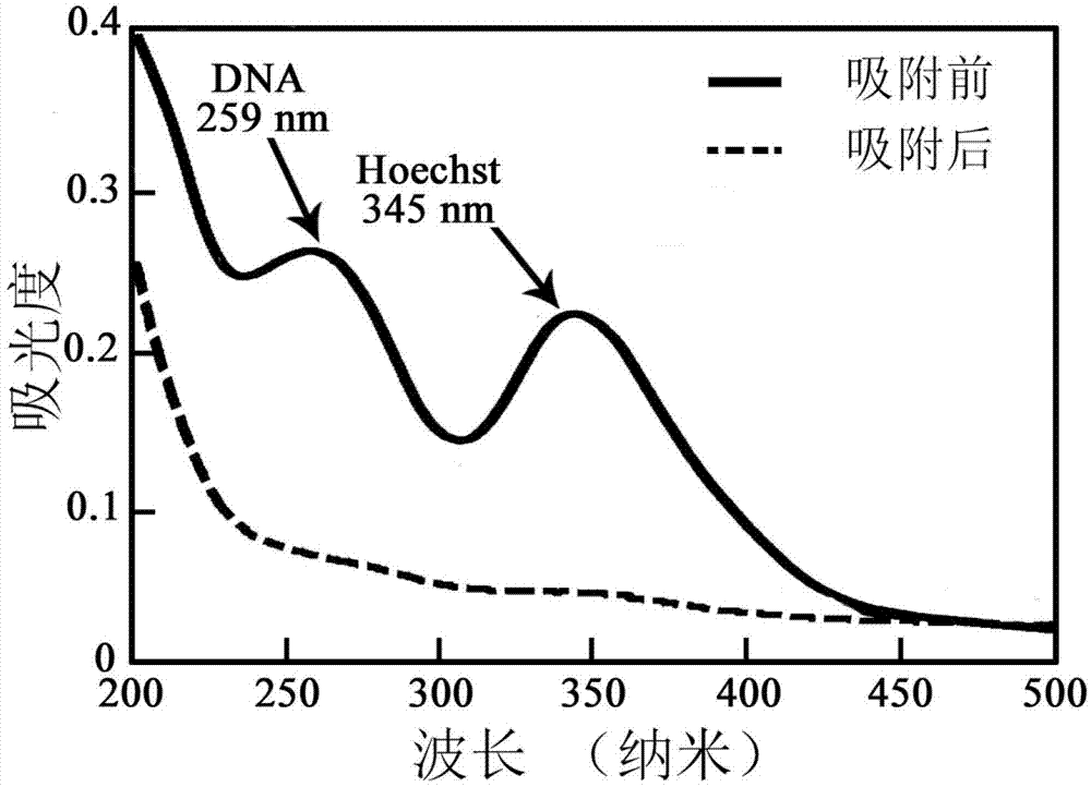 Preparation method for cadmium hydroxide nano-array capable of adsorbing and extracting DNA