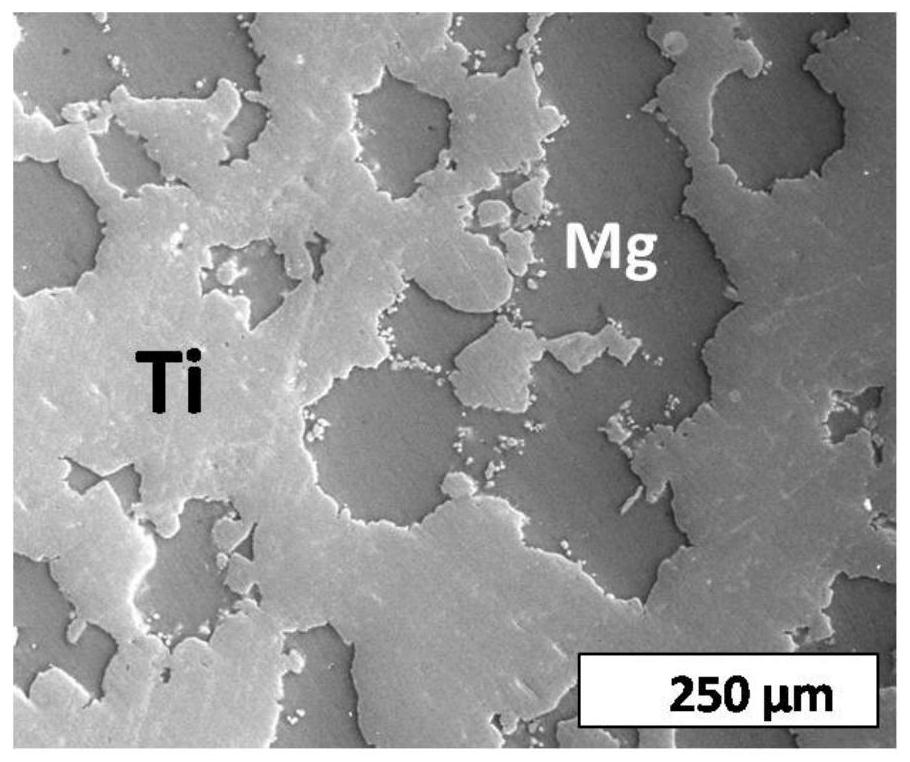 A kind of biconnected structure titanium-magnesium composite material and its preparation method and application