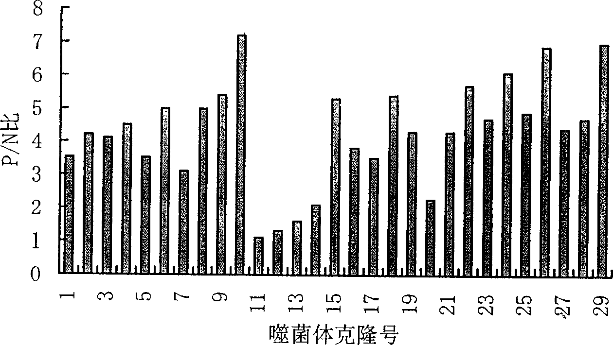 Peptide of specific combined ricin, its coding nucleic acid and method of detecting and inhibiting ricin