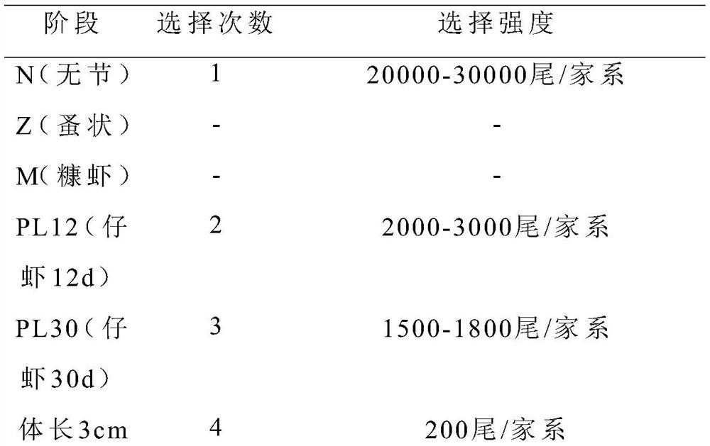 A multi-level standardized breeding method within a shrimp family