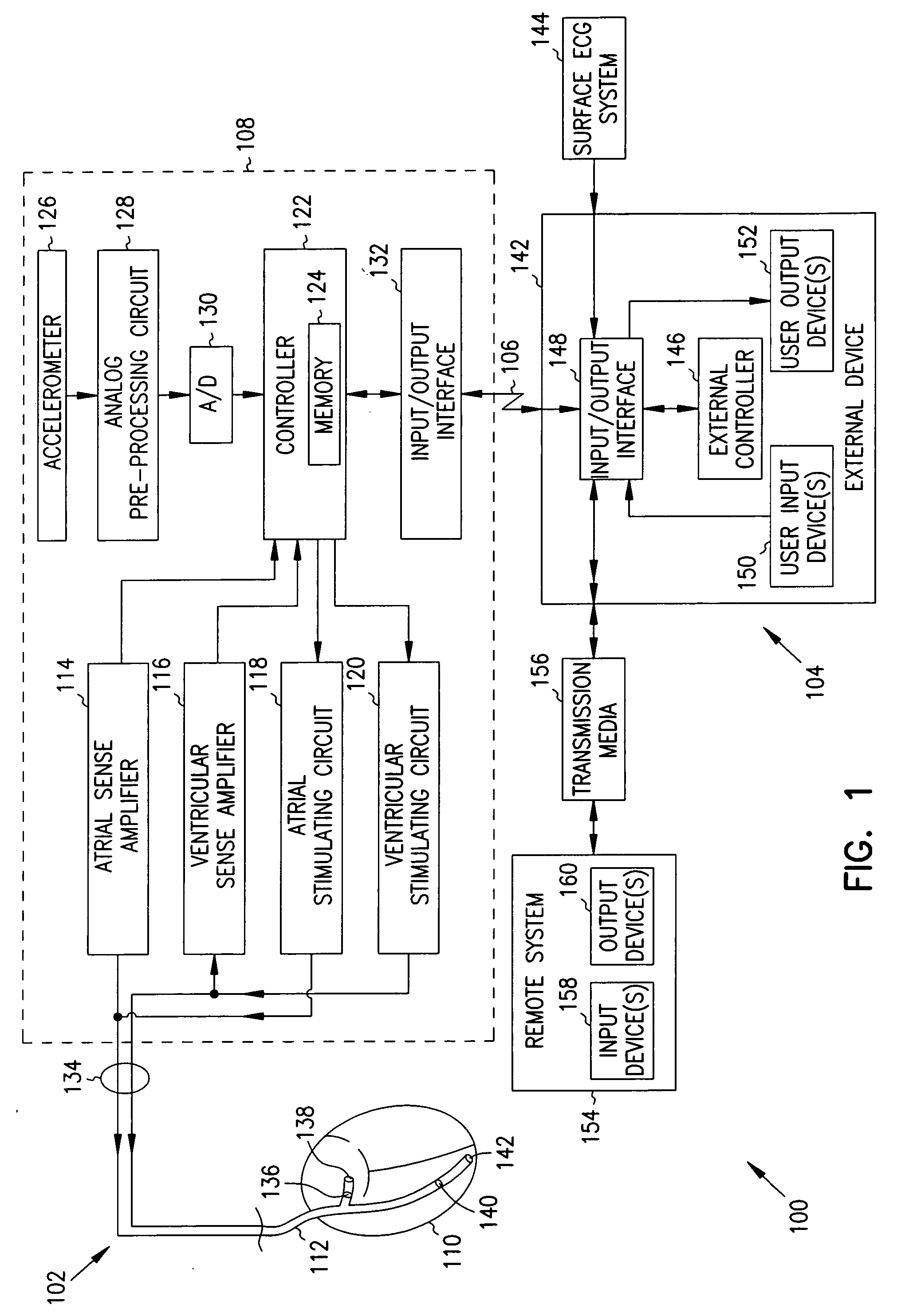 Apparatus and method for outputting heart sounds
