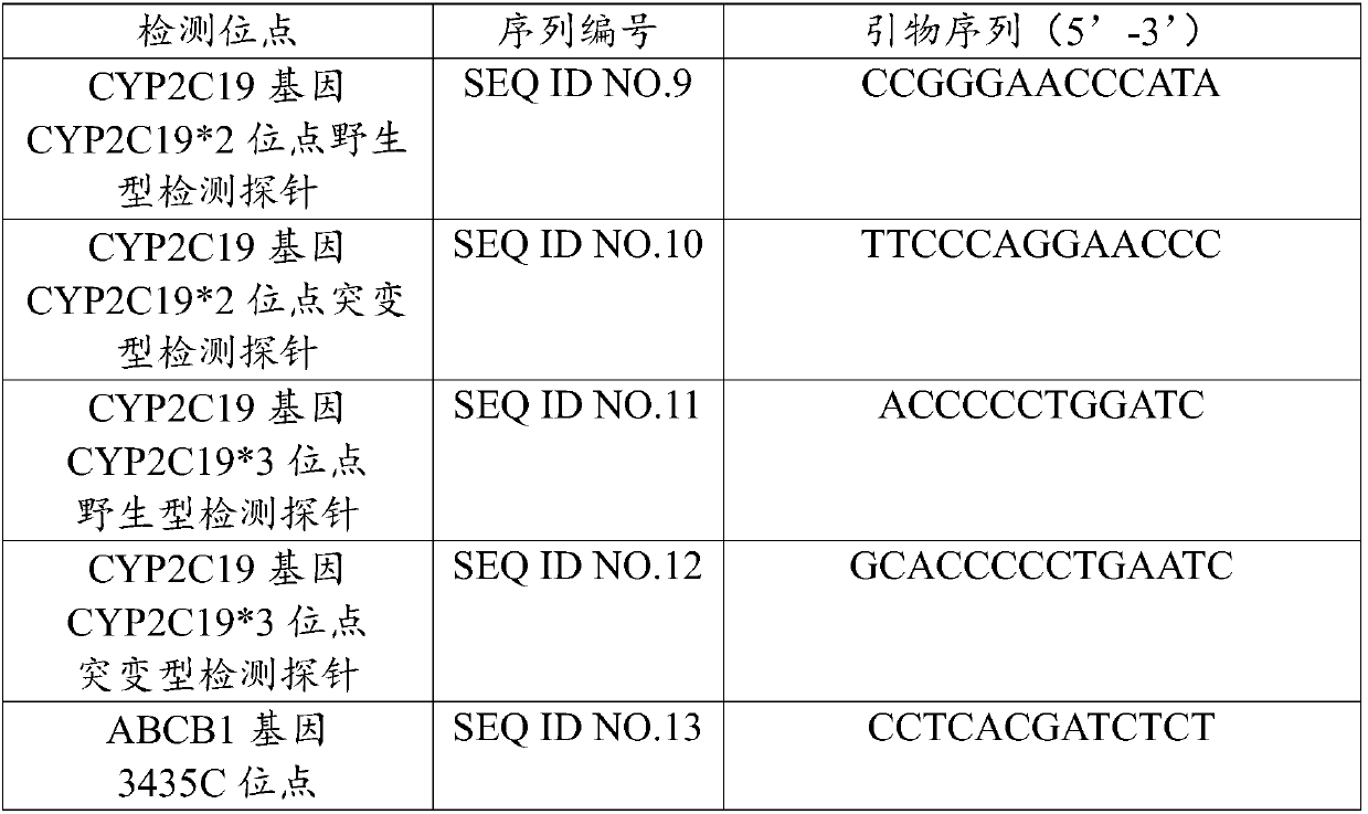 Primer group for detecting gene polymorphism sites relevant to drug metabolic enzyme activity, application thereof, product applying primer group, and detection method