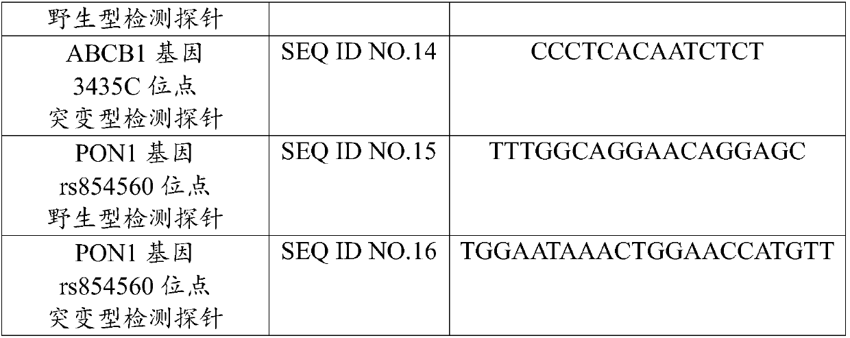 Primer group for detecting gene polymorphism sites relevant to drug metabolic enzyme activity, application thereof, product applying primer group, and detection method