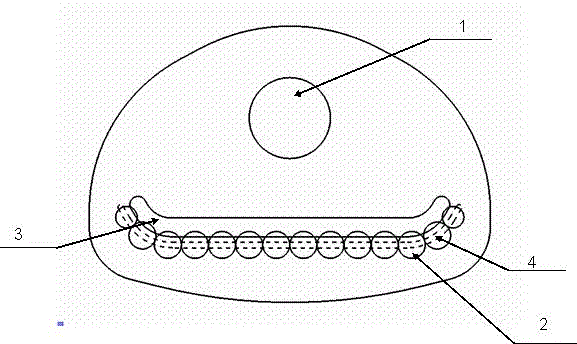 A seat belt d ring