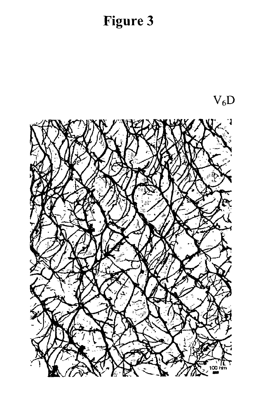 Surfactant peptide nanostructures, and uses thereof