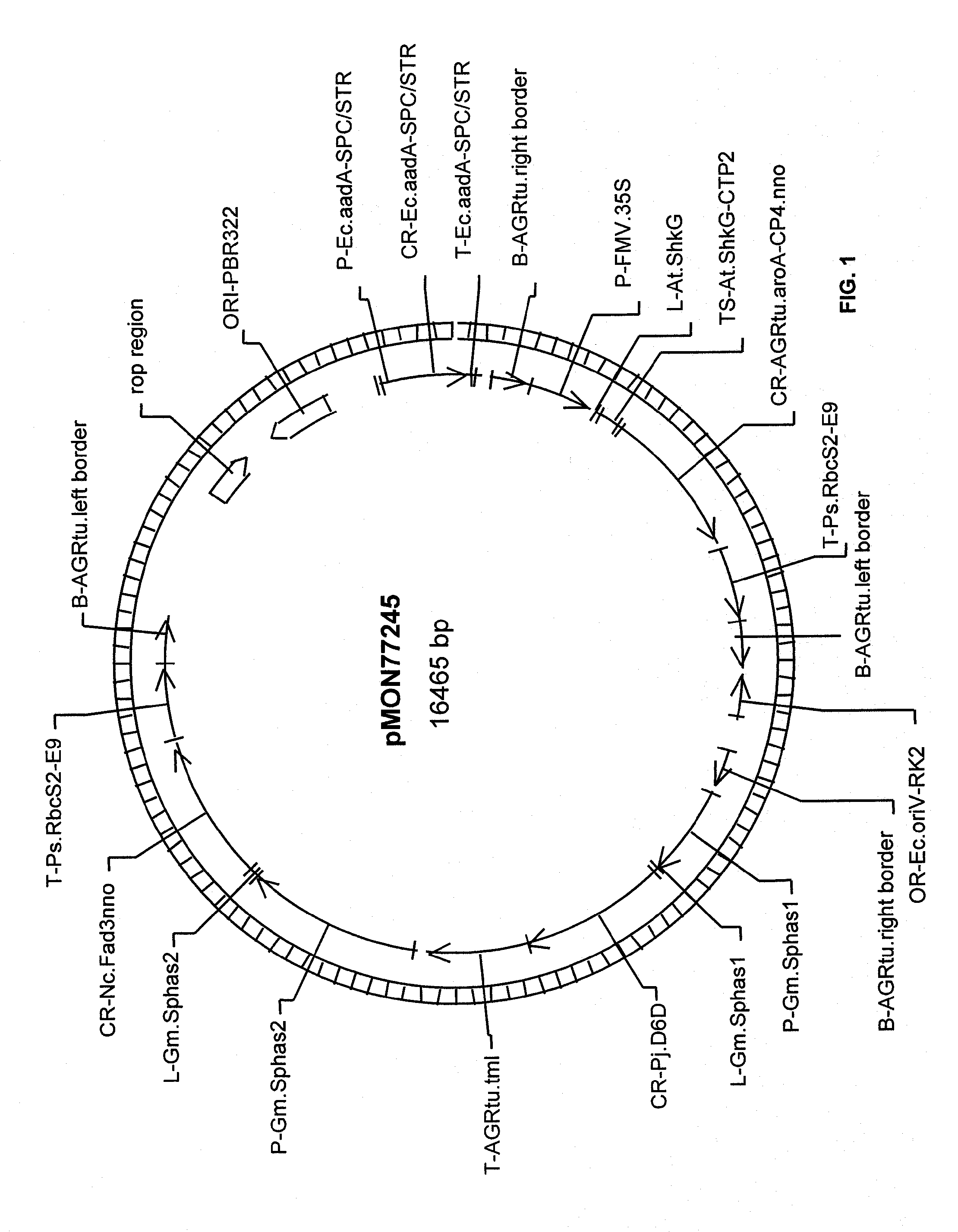 Soybean plant and seed corresponding to transgenic event mon87769 and methods for detection thereof