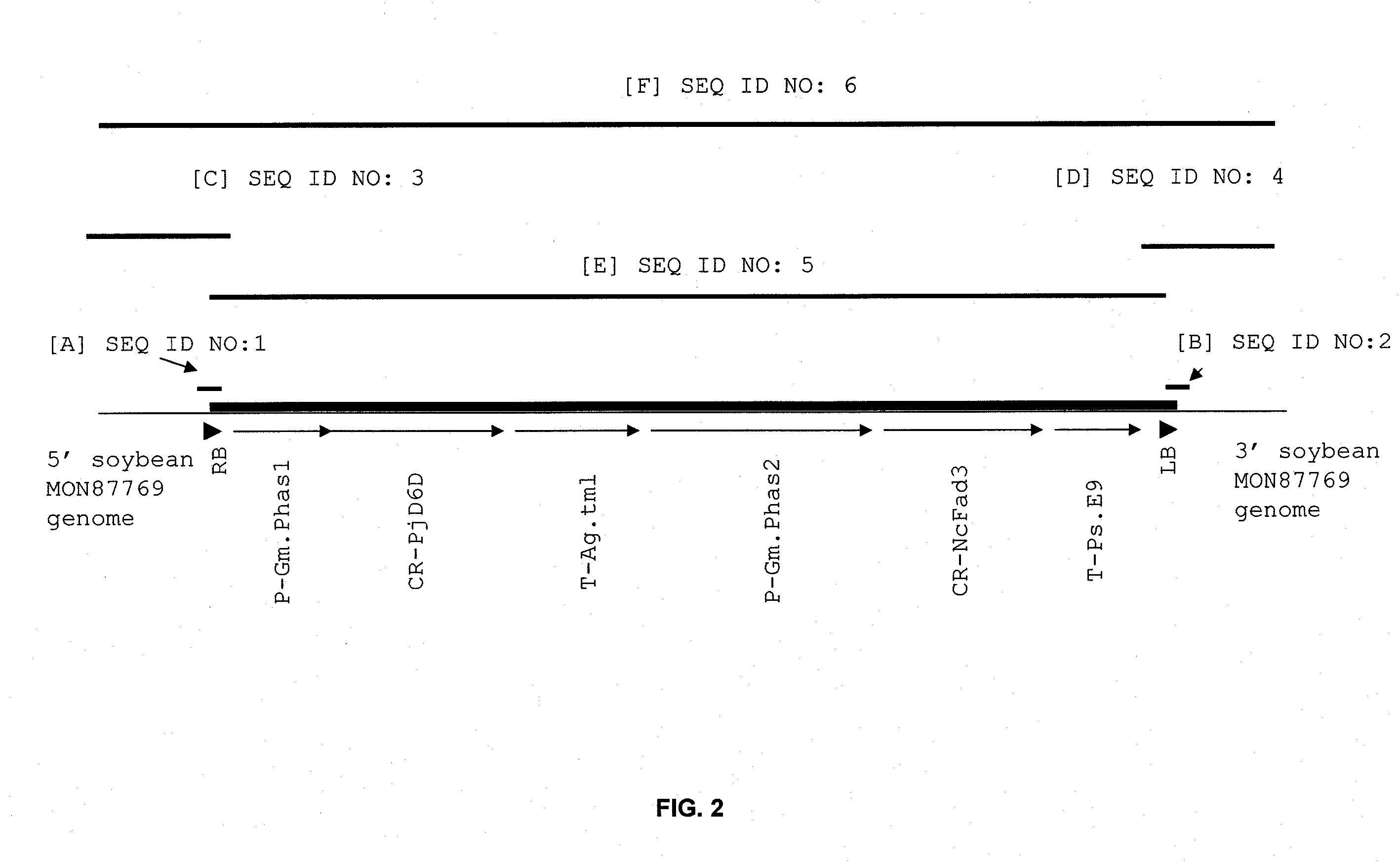 Soybean plant and seed corresponding to transgenic event mon87769 and methods for detection thereof