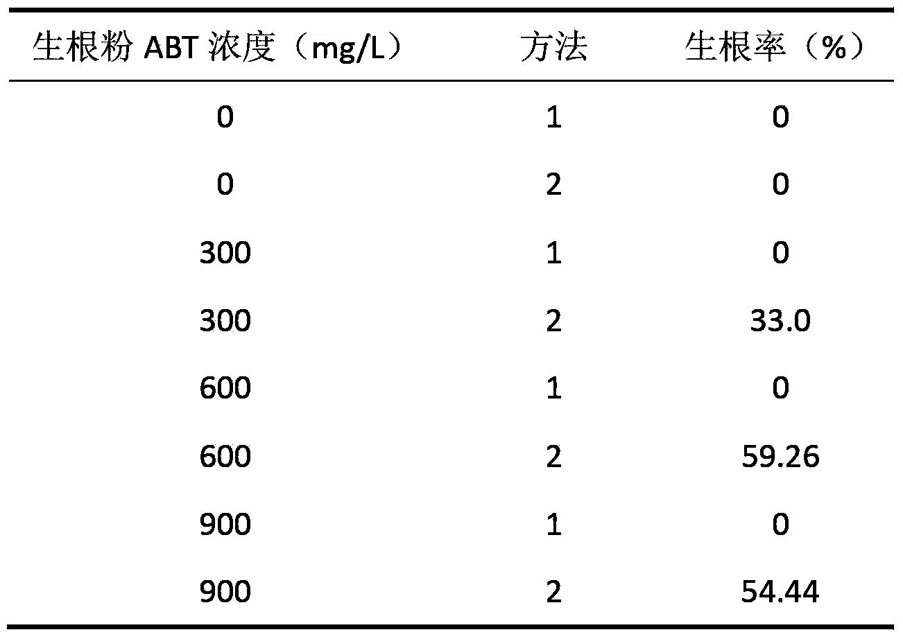 Process for facilitating sprouting of adventitious roots of apocarya branches