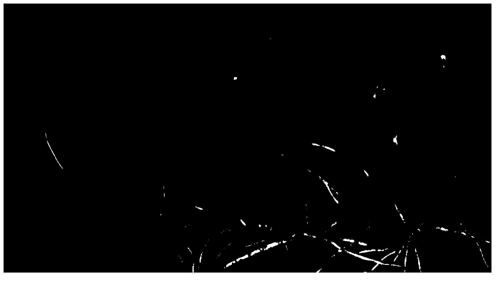 Process for facilitating sprouting of adventitious roots of apocarya branches