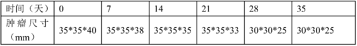 Antitumor protein and application thereof