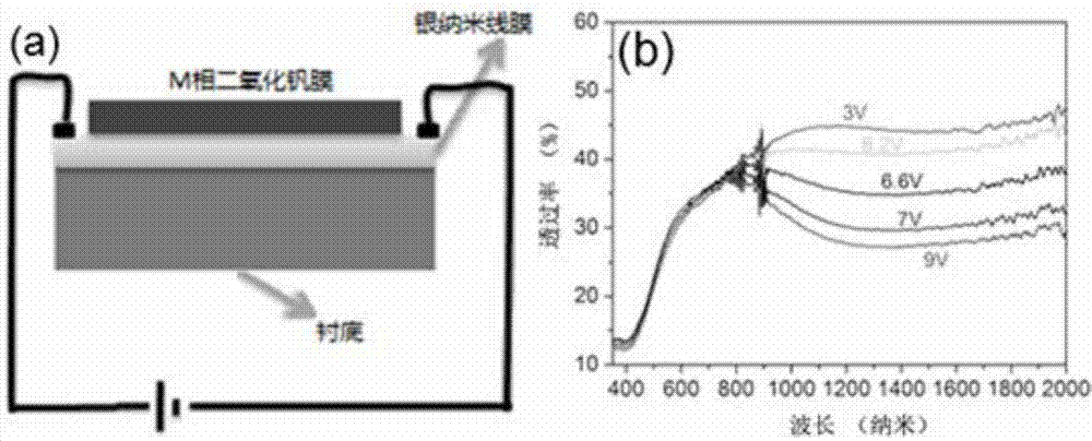 Silver nanowire and M-phase vanadium dioxide nanoparticle composite film and preparation method thereof