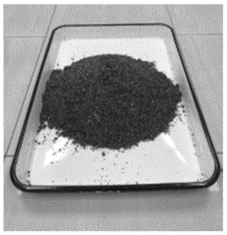 Vinasse volume measurement method based on depth imaging