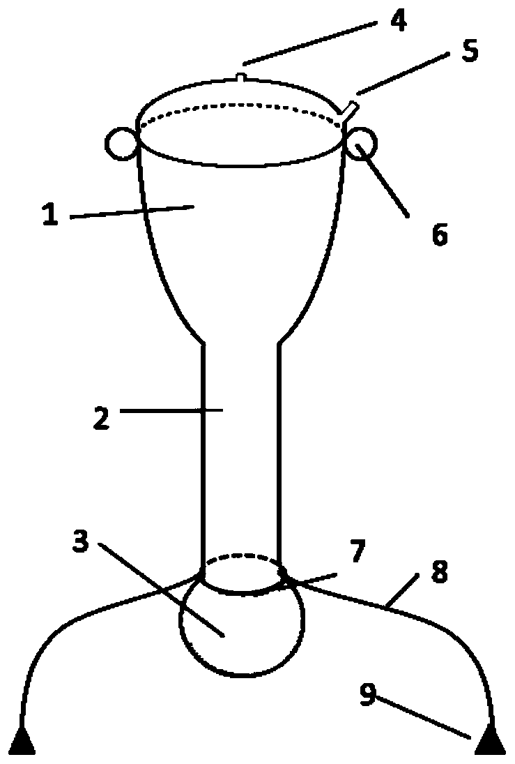 Underwater light supplementing system used for recovering submerged vegetation