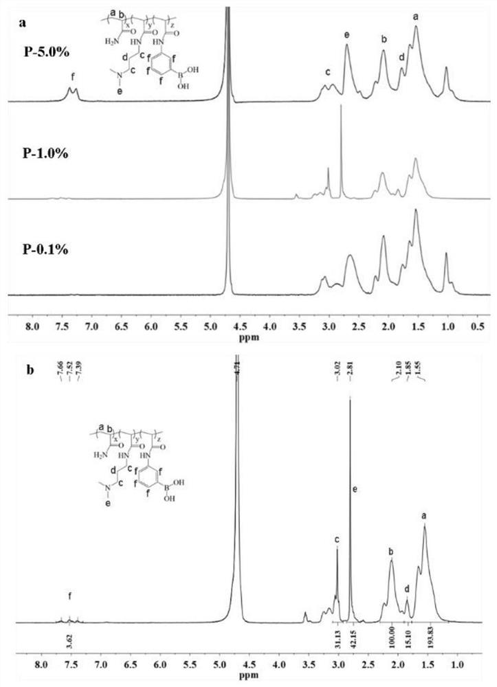 Phenylboronic acid polymer and preparation method and application thereof in modified xanthan gum