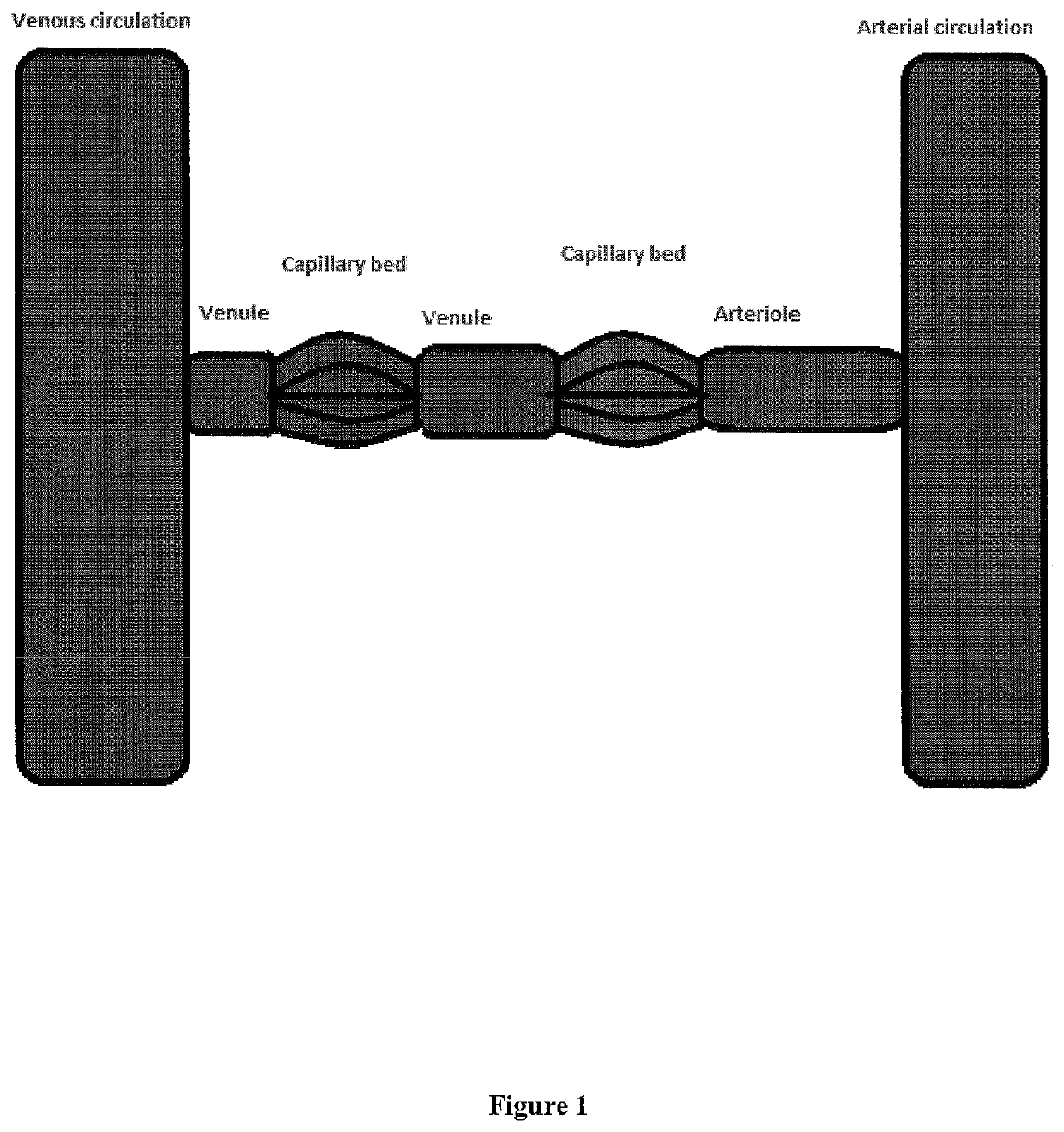 Venous access catheters and methods for portal venous system catheterization