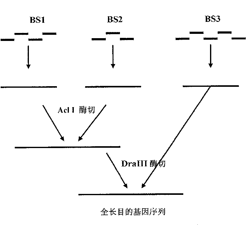 Synthesis of batroxobin gene and preparation method of expression product thereof