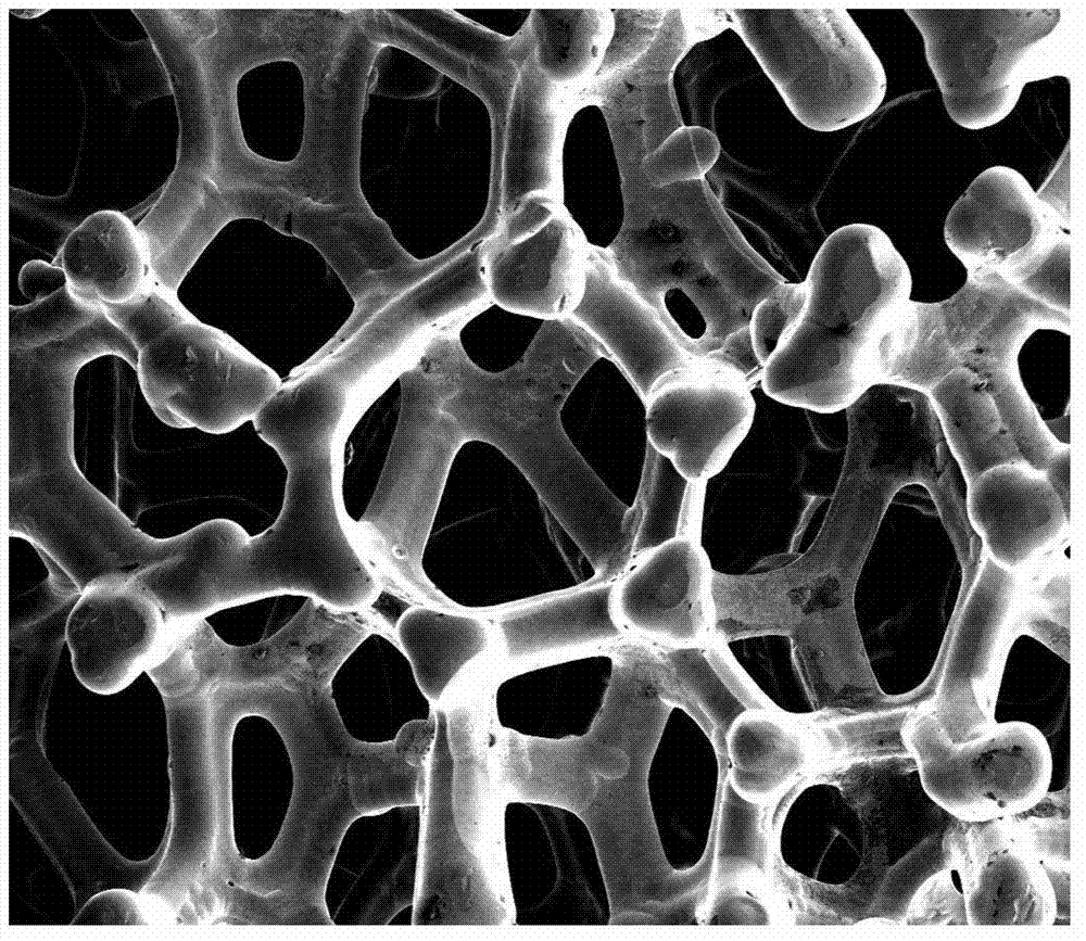 Bionic construction of metal-foam-based oil-water separation material