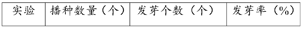 Wild chrysanthemum planting method