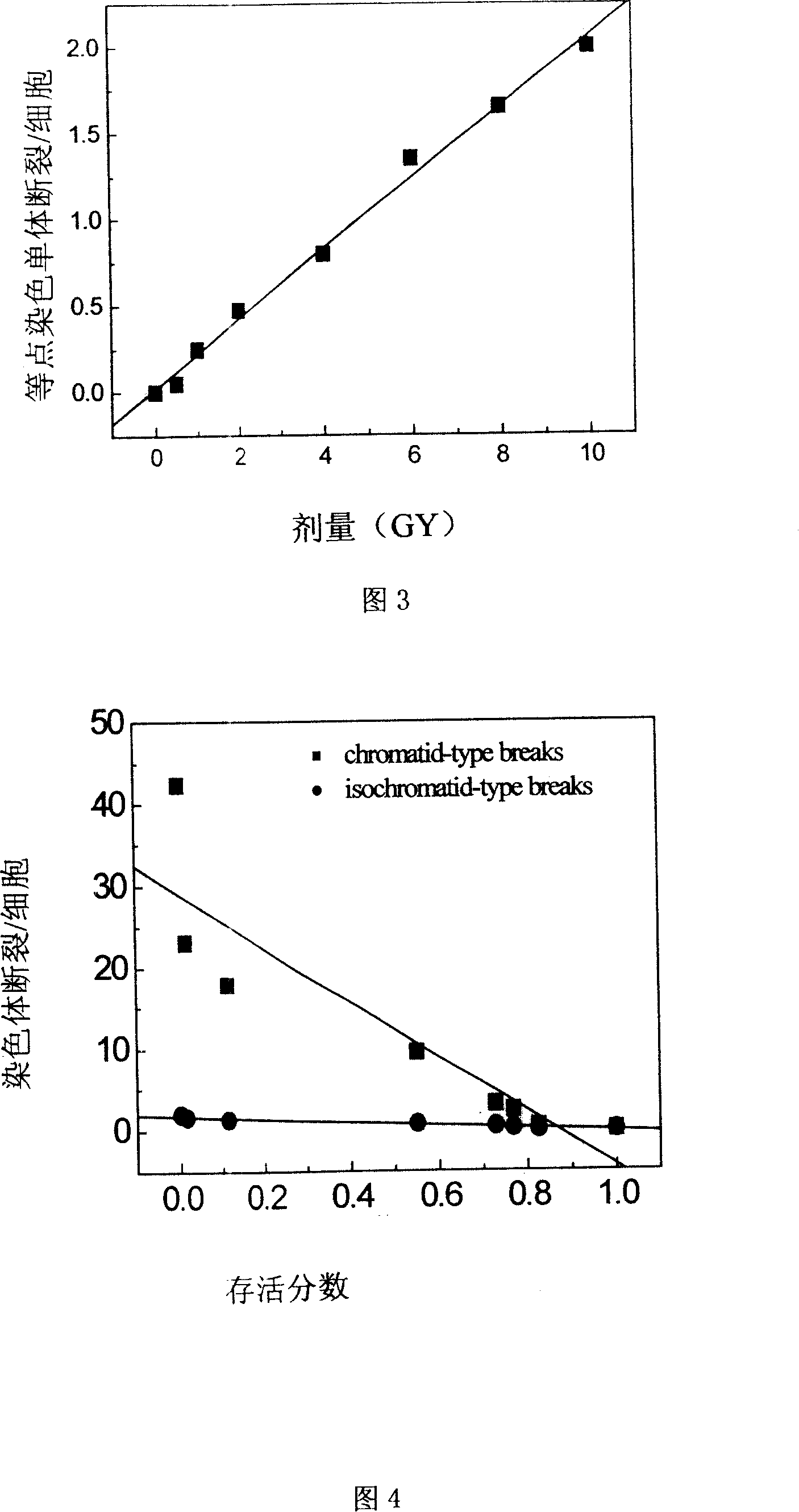 Method for predicating tumor cell radiosusceptibilitiy by employing premature chromosome condensation