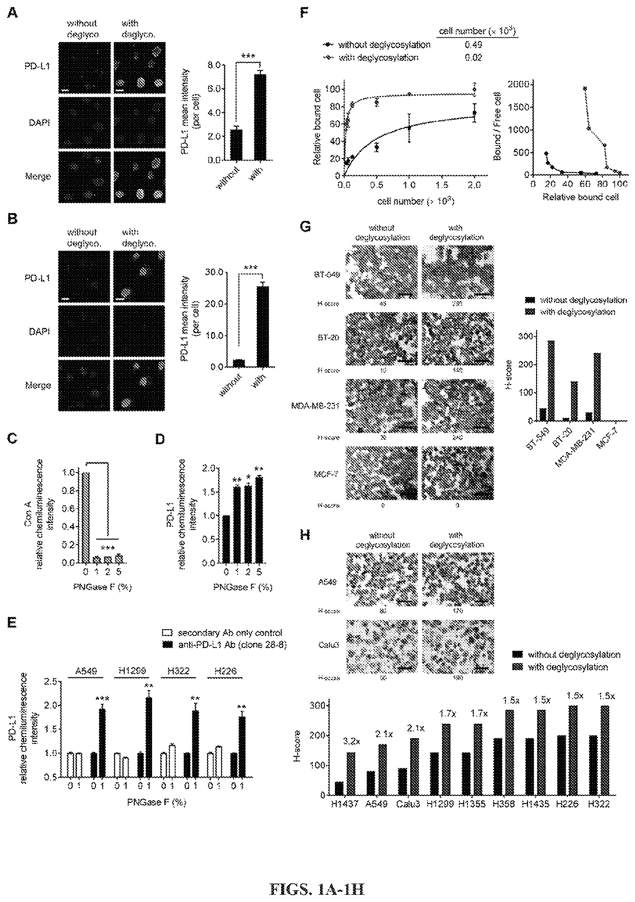 Detection of immune checkpoint molecules by deglycosylation