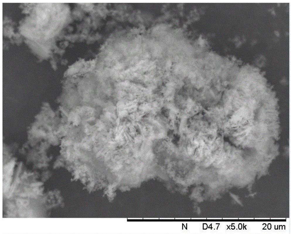 Double-pore-channel crystallization aluminosilicate molecular sieve catalyst and preparing method thereof