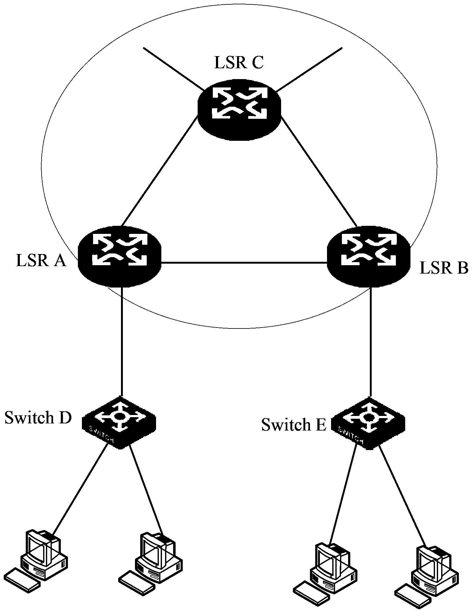 Message processing method and label switching router in MPLS network