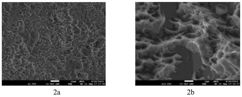 A preparation method and application of titanium grid-supported tin electrode based on high-pressure spraying method