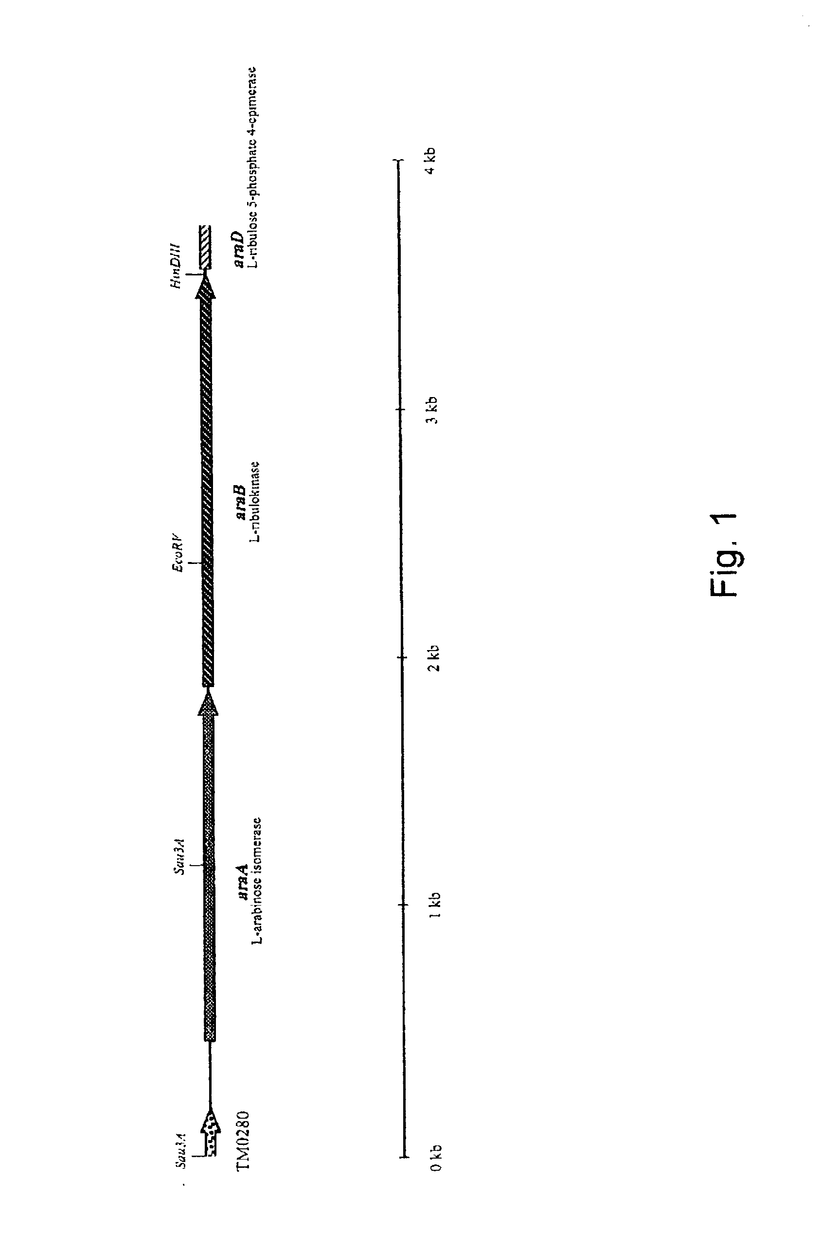Novel thermostable isomerase and use hereof, in particular for producing tagatose