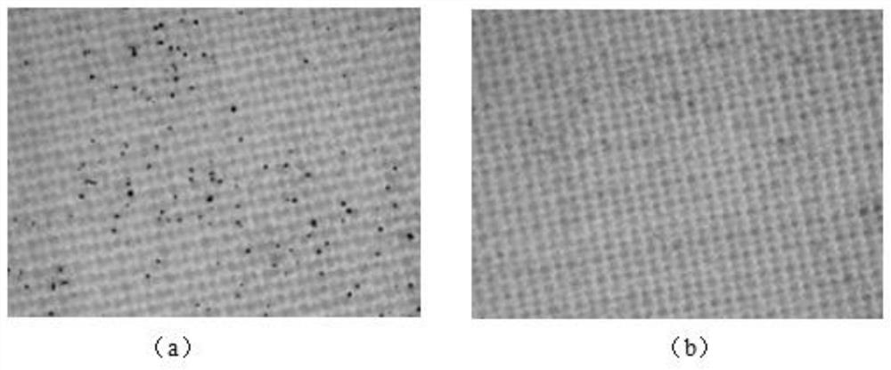 A long-acting antibacterial and antifungal agent, its preparation method and application in space station environment