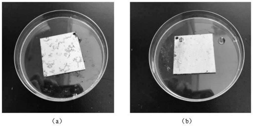 A long-acting antibacterial and antifungal agent, its preparation method and application in space station environment