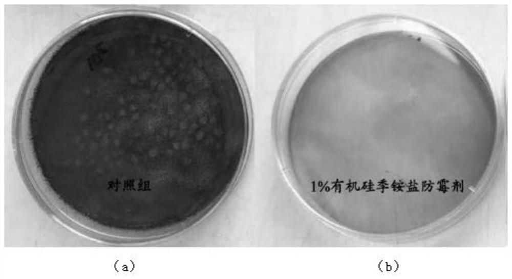 A long-acting antibacterial and antifungal agent, its preparation method and application in space station environment