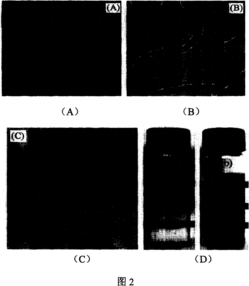 Carbon nano tube with high water-solubility and preparation method thereof
