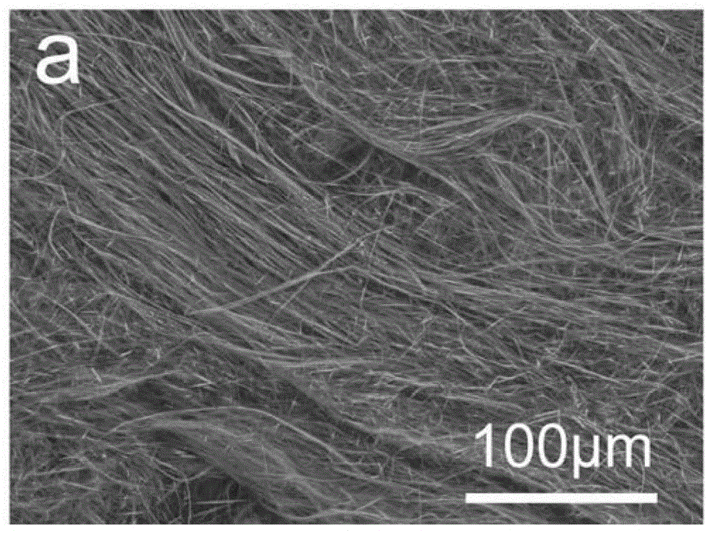 Alginate/hydroxyapatite super-long nanowire composite hydrogel